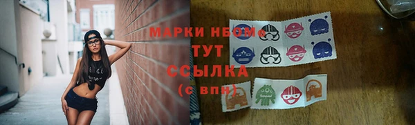 винт Алзамай