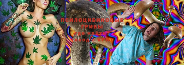не бодяженный Армянск