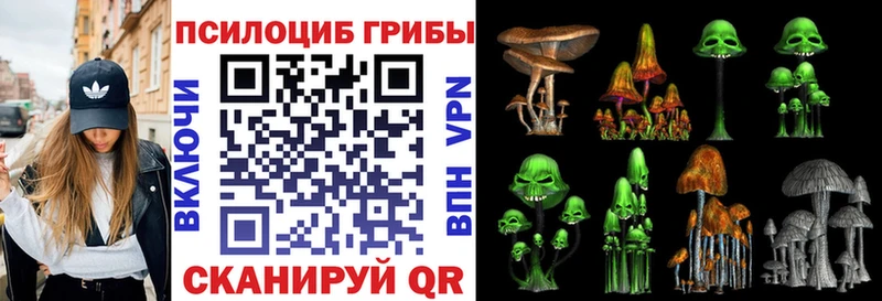 ссылка на мегу как зайти  хочу   Ахтубинск  Псилоцибиновые грибы мухоморы 